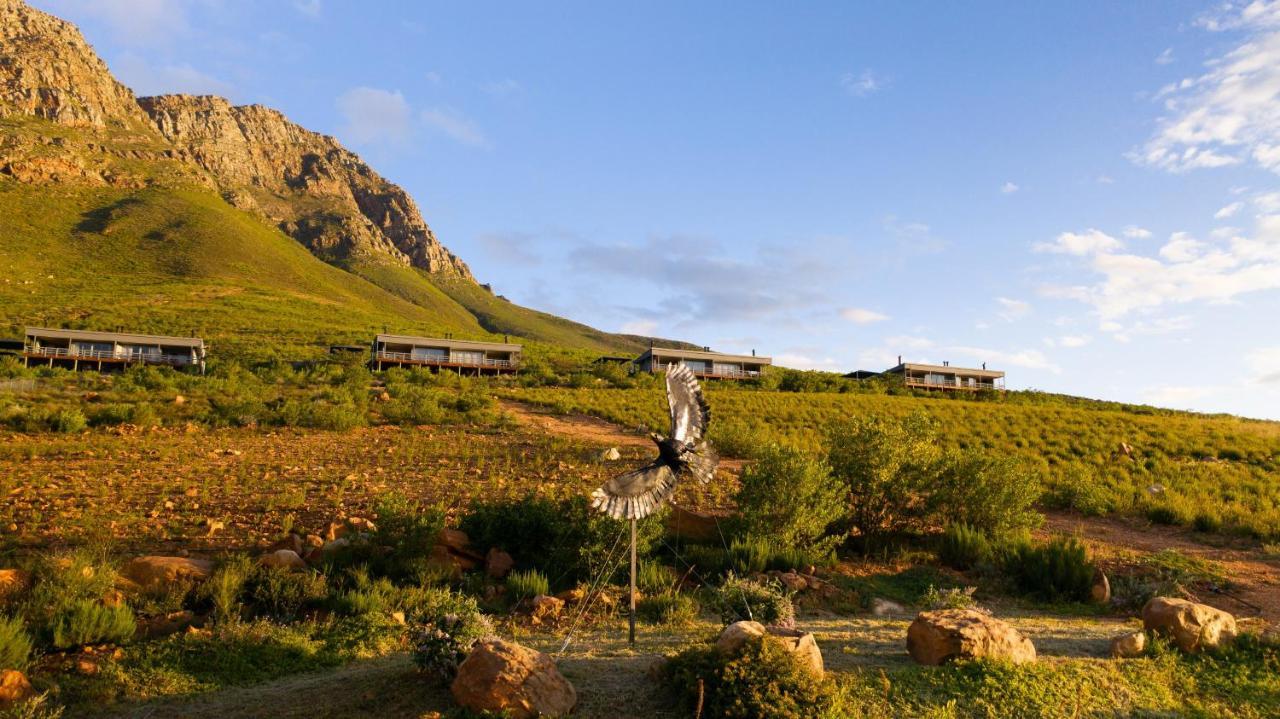 Big Sky Cottages Wolseley ภายนอก รูปภาพ