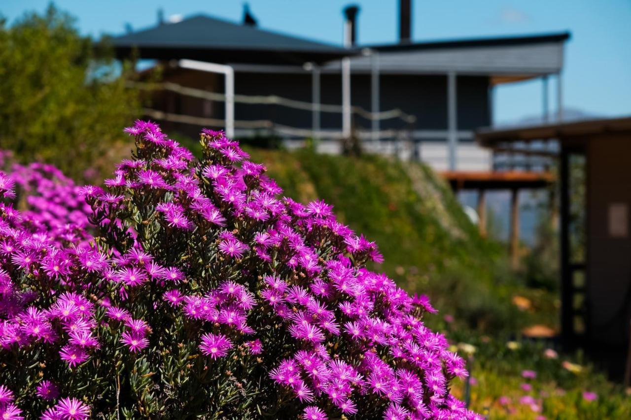 Big Sky Cottages Wolseley ภายนอก รูปภาพ